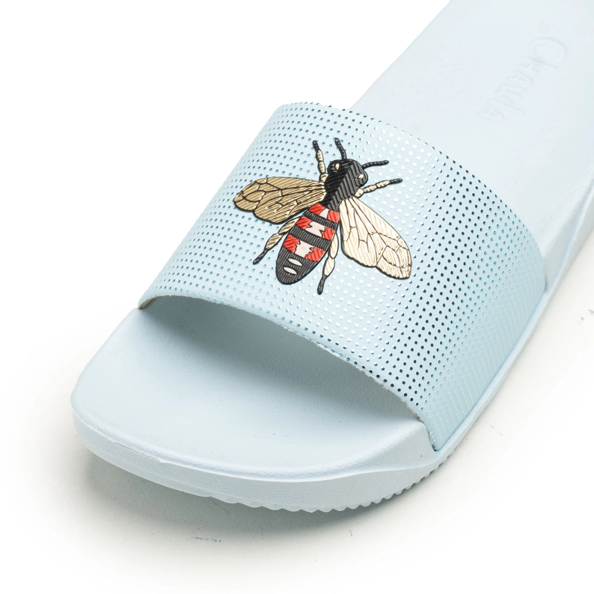 Women Slides + Wallet Bundle - ezzewak